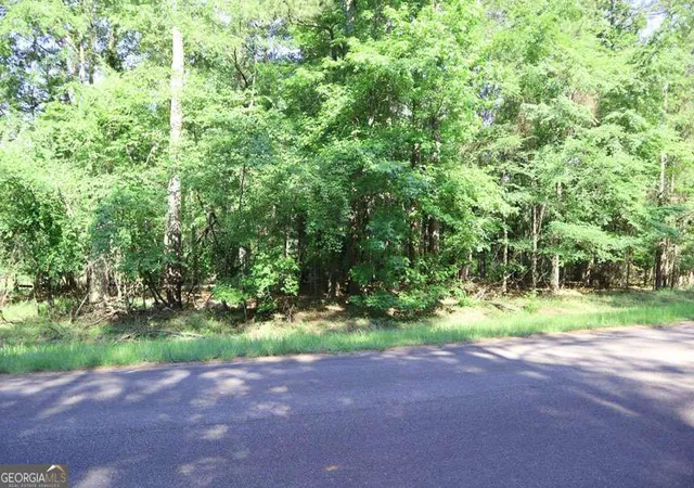 4th image of 109 Clover Ct Se, Sparta, GA 31087 | MLS# 10780389
