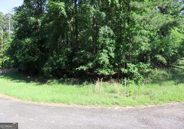 5th image of 109 Clover Ct Se, Sparta, GA 31087 | MLS# 10780389