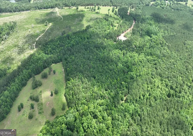 Photo 3 of Land for sale at 5257 Blume Rd, Mitchell, GA 30820 | MLS# 10814762 | Listing updated on 2026-08-12