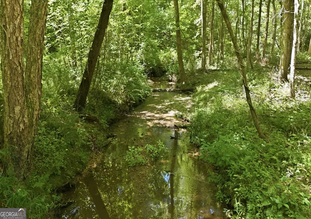2nd image of 527 Jim Carter Rd, Clarkesville, GA 30523 | MLS# 10810096
