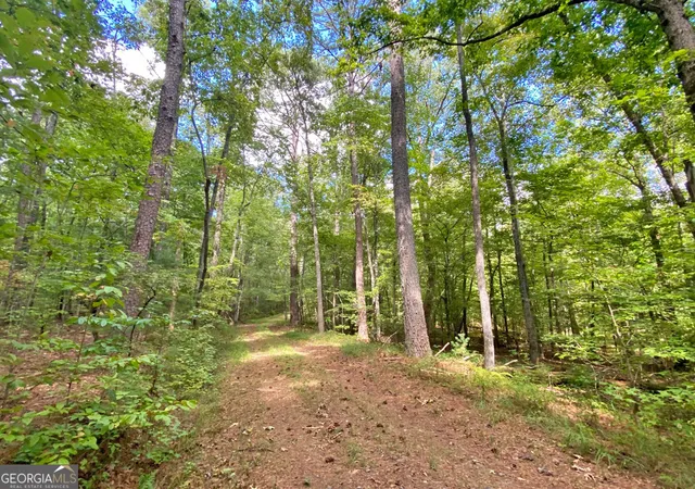 Photo 1 of Sale Pending at 152ac Whitepath Rd, Ellijay, GA 30540 | MLS# 10375935 | Listing updated on 2026-10-28