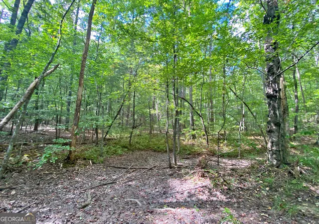 Photo 1 of Sale Pending at 152ac Whitepath Rd, Ellijay, GA 30540 | MLS# 10375935 | Listing updated on 2026-10-28