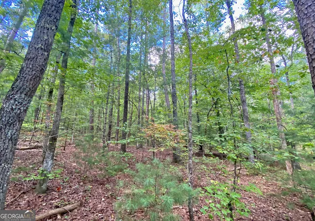 Photo 2 of Sale Pending at 152ac Whitepath Rd, Ellijay, GA 30540 | MLS# 10375935 | Listing updated on 2026-10-28