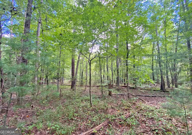 Photo 3 of Sale Pending at 152ac Whitepath Rd, Ellijay, GA 30540 | MLS# 10375935 | Listing updated on 2026-10-28