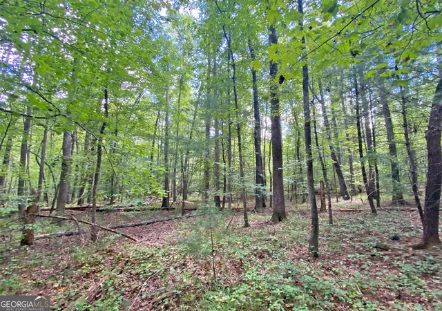 Photo 4 of Sale Pending at 152ac Whitepath Rd, Ellijay, GA 30540 | MLS# 10375935 | Listing updated on 2026-10-28