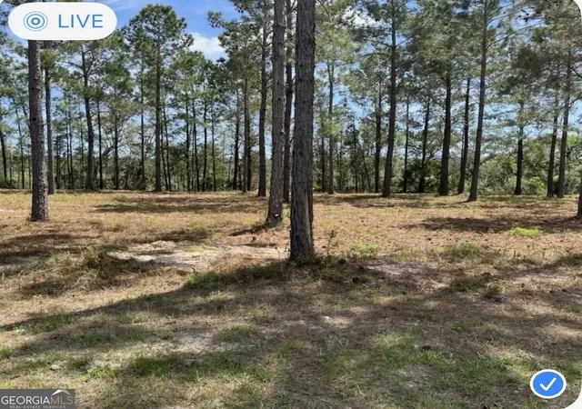Homes for sale in Waverly, GA | 135 Beacon Pointe Pkwy, Waverly, GA 31565 | MLS# 10729086