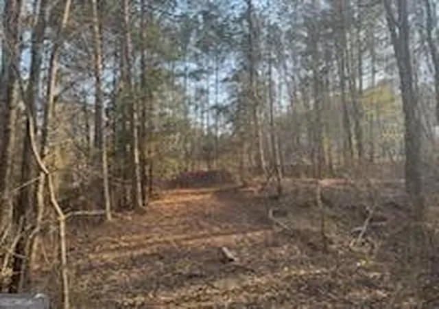 Homes for sale in Molena, GA | 000 (948) Smyrna Church Rd, Molena, GA 30258 | MLS# 10774883