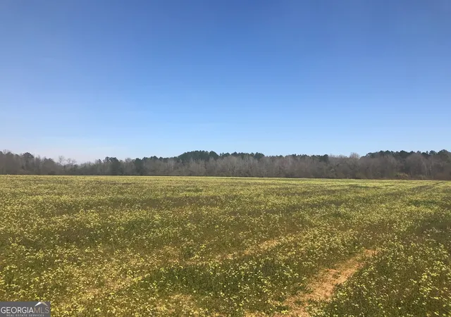 Homes for sale in Wrightsville, GA | 0 Tucker Grove Church Rd, Wrightsville, GA 31096 | MLS# 10776677