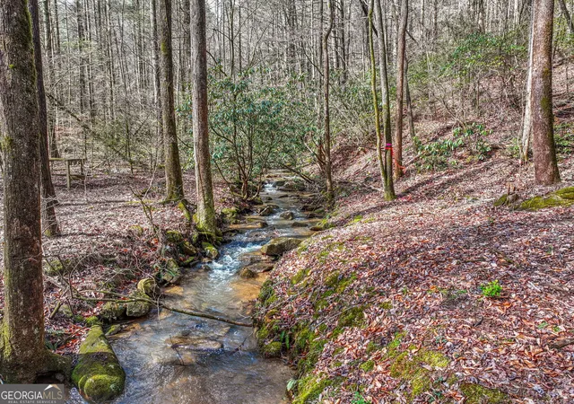 2nd image of 641 Bryant Farm Ln, Ellijay, GA 30540 | MLS# 10815398