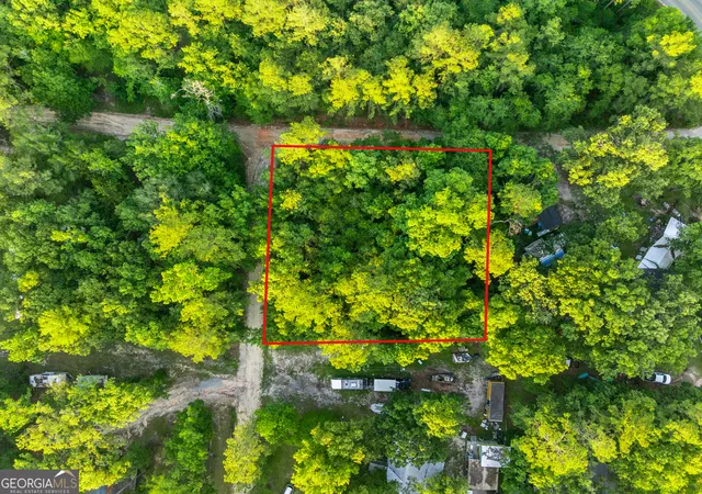 3rd image of 0 River Loop Rd, Baxley, GA 31513 | MLS# 10783638