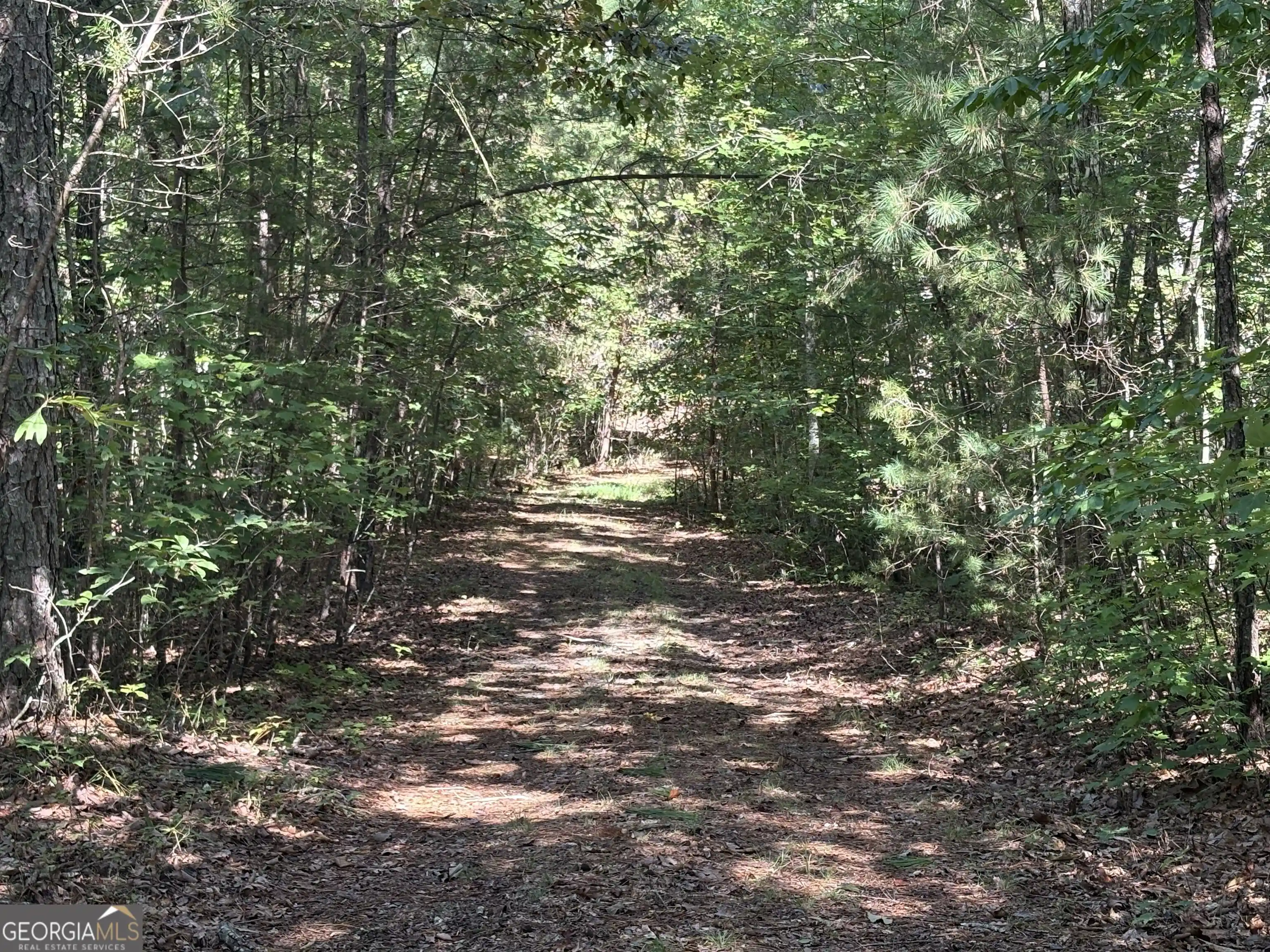 Photo 1 of Land for sale at 29a Hillstead Tr, Ellijay, GA 30540 | MLS# 10853739 | Listing updated on 2026-10-09
