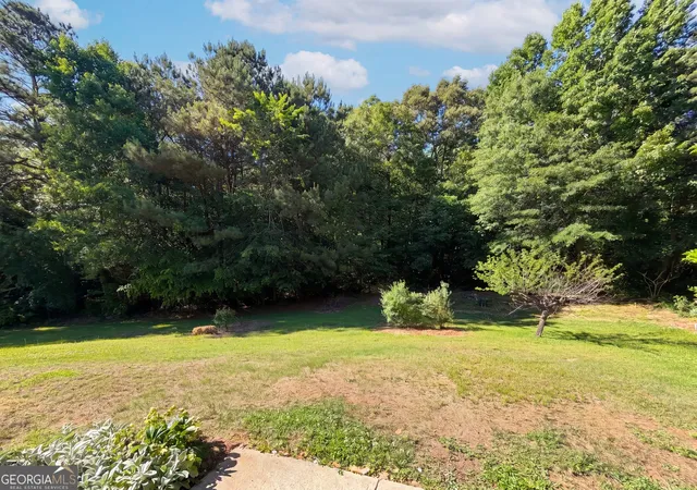 17th image of 202 Bluff Ct, Jackson, GA 30233 | MLS# 10768311
