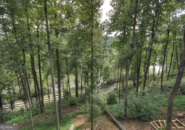 Photo 4 of Single family home for sale at 271 Toccoa Preserve Ct, Blue Ridge, GA 30513 | MLS# 10754621 | Listing updated on 2026-10-23