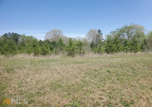 3rd image of 00 Nathan Dean Bypass, Rockmart, GA 30153 | MLS# 10434274