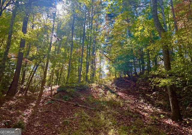 1st image of 59 High River Lndg, Ellijay, GA 30540 | MLS# 10407610