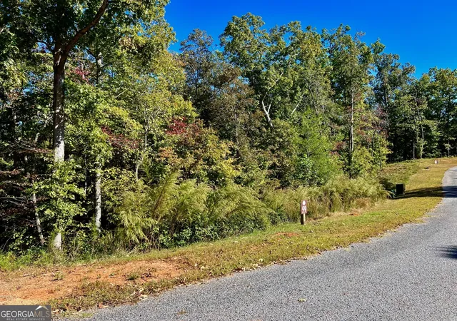 3rd image of 59 High River Lndg, Ellijay, GA 30540 | MLS# 10407610