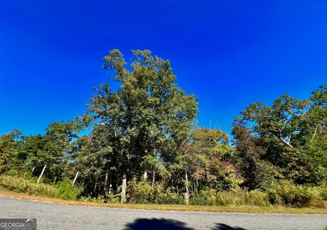 4th image of 59 High River Lndg, Ellijay, GA 30540 | MLS# 10407610