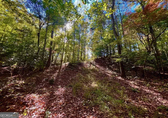 5th image of 59 High River Lndg, Ellijay, GA 30540 | MLS# 10407610