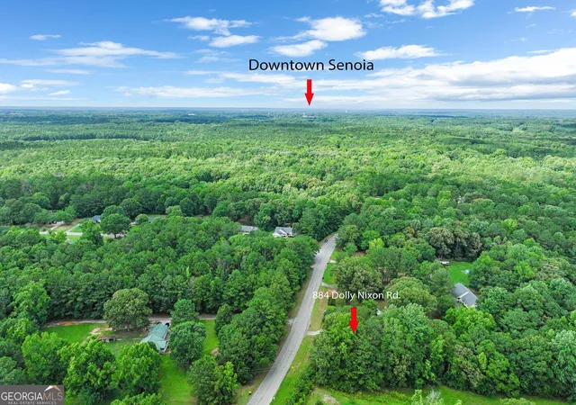 4th image of 884 Dolly Nixon Rd, Senoia, GA 30276 | MLS# 10791905