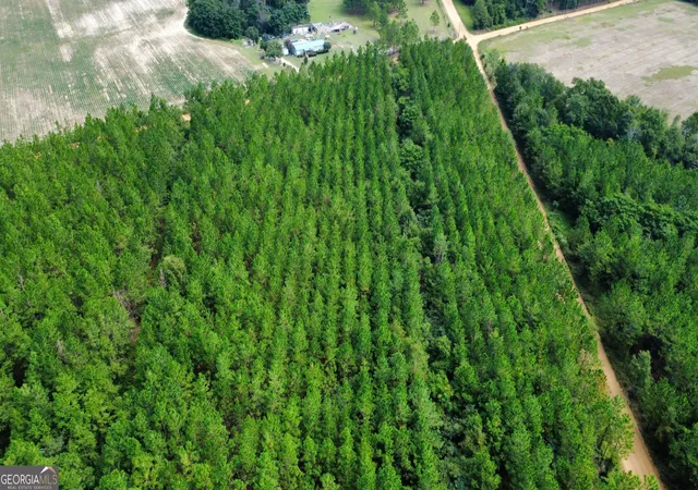 Photo 1 of Land for sale at Tract 4 A L Reeves Rd, Fitzgerald, GA 31750 | MLS# 10836406 | Listing updated on 2026-09-14