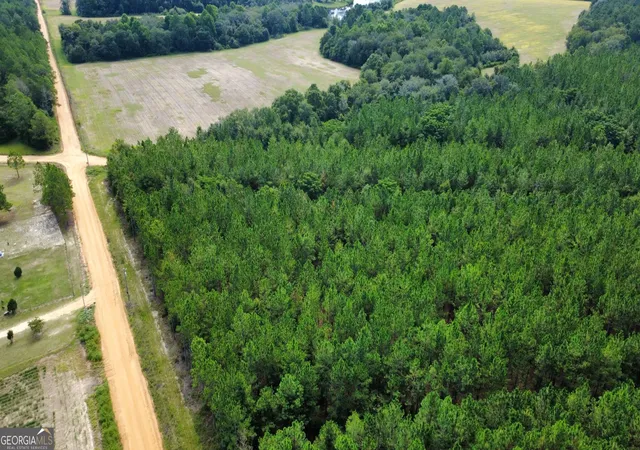 Photo 2 of Land for sale at Tract 4 A L Reeves Rd, Fitzgerald, GA 31750 | MLS# 10836406 | Listing updated on 2026-09-14