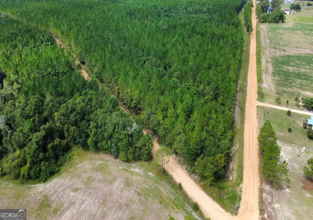 Photo 3 of Land for sale at Tract 4 A L Reeves Rd, Fitzgerald, GA 31750 | MLS# 10836406 | Listing updated on 2026-09-14