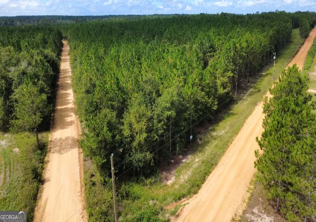 Photo 3 of Land for sale at Tract 4 A L Reeves Rd, Fitzgerald, GA 31750 | MLS# 10836406 | Listing updated on 2026-09-14