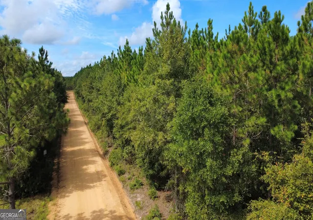 Photo 4 of Land for sale at Tract 4 A L Reeves Rd, Fitzgerald, GA 31750 | MLS# 10836406 | Listing updated on 2026-09-14