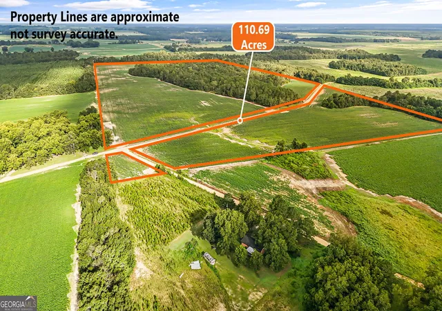 Photo 1 of Land for sale at 0 Long Rd, Vienna, GA 31092 | MLS# 10823065 | Listing updated on 2026-09-08