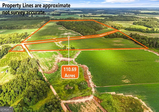 Photo 2 of Land for sale at 0 Long Rd, Vienna, GA 31092 | MLS# 10823065 | Listing updated on 2026-09-08