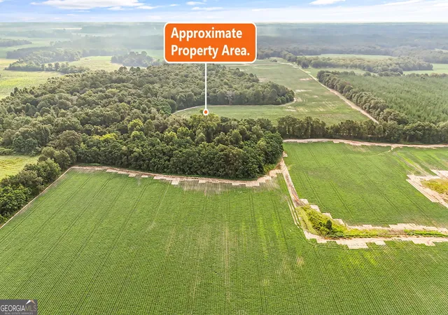 Photo 3 of Land for sale at 0 Long Rd, Vienna, GA 31092 | MLS# 10823065 | Listing updated on 2026-09-08