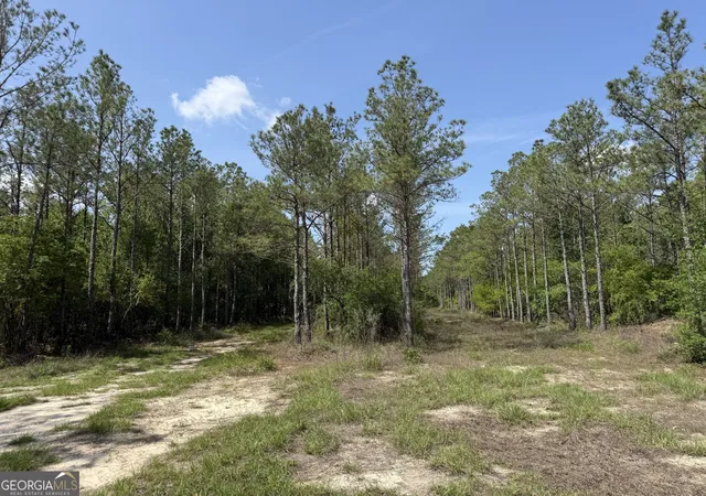 12th image of 0 Bells Ferry Rd, Lumber City, GA 31549 | MLS# 10763004