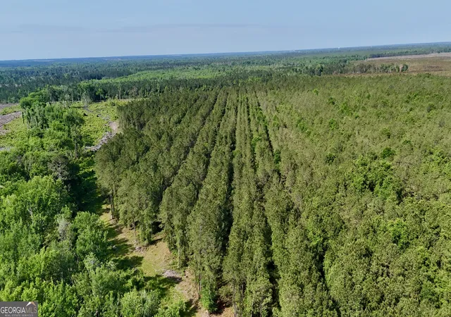 3rd image of 0 Bells Ferry Rd, Lumber City, GA 31549 | MLS# 10763004