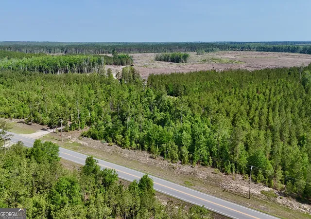 4th image of 0 Bells Ferry Rd, Lumber City, GA 31549 | MLS# 10763004