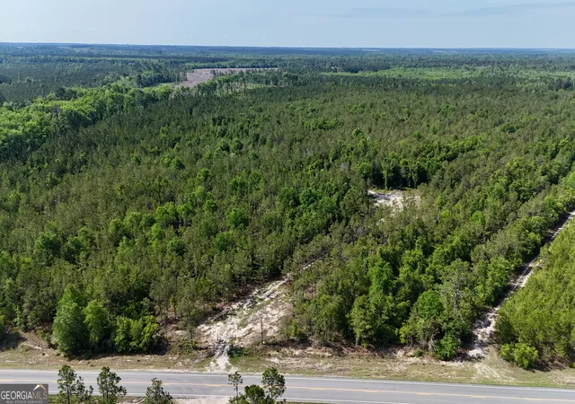 5th image of 0 Bells Ferry Rd, Lumber City, GA 31549 | MLS# 10763004
