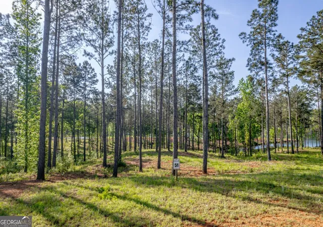 Photo 1 of Land for sale at 203 Falls Ln, Milledgeville, GA 31061 | MLS# 10740383 | Listing updated on 2026-05-08