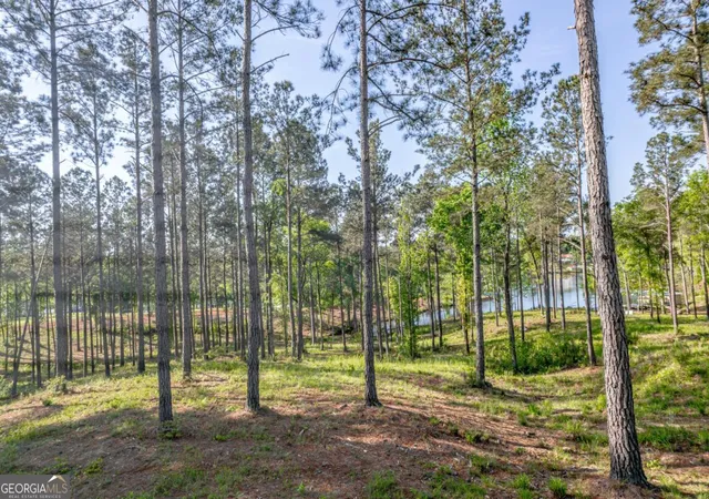 Photo 2 of Land for sale at 203 Falls Ln, Milledgeville, GA 31061 | MLS# 10740383 | Listing updated on 2026-05-08