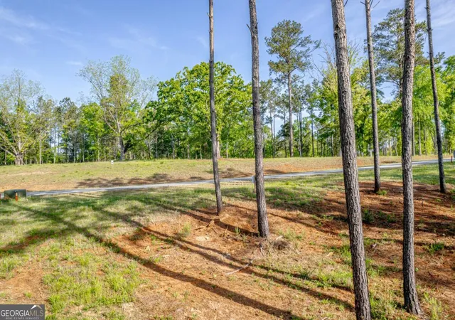 Photo 3 of Land for sale at 203 Falls Ln, Milledgeville, GA 31061 | MLS# 10740383 | Listing updated on 2026-05-08