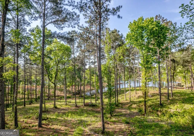 Photo 3 of Land for sale at 203 Falls Ln, Milledgeville, GA 31061 | MLS# 10740383 | Listing updated on 2026-05-08