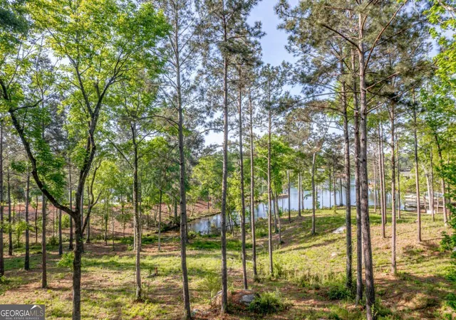Photo 4 of Land for sale at 203 Falls Ln, Milledgeville, GA 31061 | MLS# 10740383 | Listing updated on 2026-05-08
