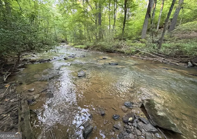31st image of Lot 18 Mt Springer Rd, Ellijay, GA 30540 | MLS# 10797029