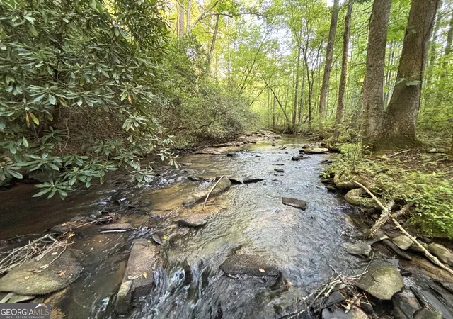3rd image of Lot 18 Mt Springer Rd, Ellijay, GA 30540 | MLS# 10797029