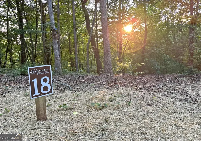 4th image of Lot 18 Mt Springer Rd, Ellijay, GA 30540 | MLS# 10797029