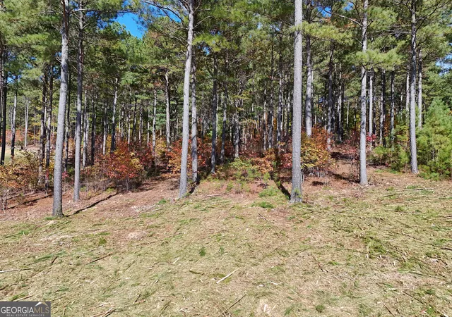 Photo 2 of Sale Pending at Lot168 Stables Loop, Blairsville, GA 30512 | MLS# 10638253 | Listing updated on 2026-04-28