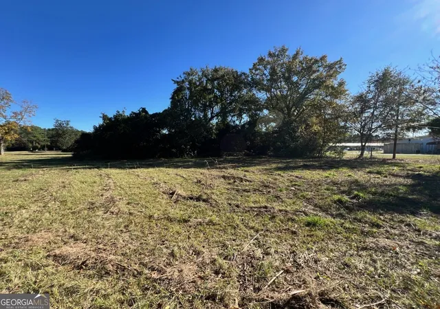 5th image of 723 1/2 S Main St, Statesboro, GA 30458 | MLS# 10666153