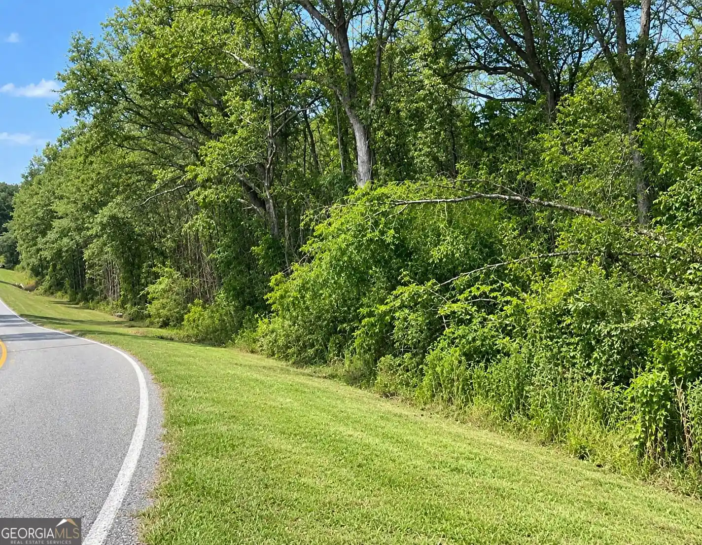 Photo 1 of Land for sale at 0 Cannonville Rd, Abbeville, GA 31001 | MLS# 10867471 | Listing updated on 2026-10-21