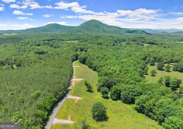 1st image of 0 Arthur Allen Rd, Cleveland, GA 30528 | MLS# 10778317
