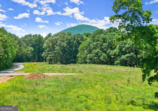 3rd image of 0 Arthur Allen Rd, Cleveland, GA 30528 | MLS# 10778317