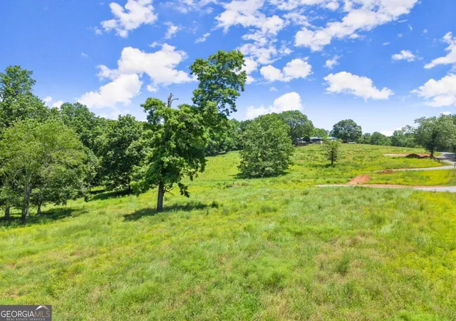 4th image of 0 Arthur Allen Rd, Cleveland, GA 30528 | MLS# 10778317