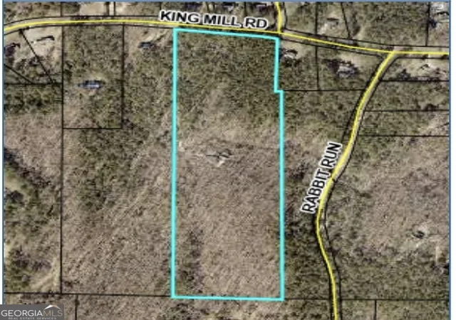 64th image of 1012 King Mill Rd, Mcdonough, GA 30252 | MLS# 10674502